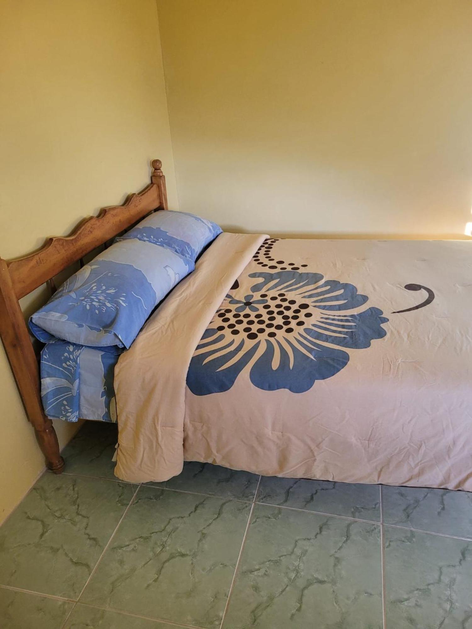Tim'S & Mag'S Home Stay Roseau Dış mekan fotoğraf
